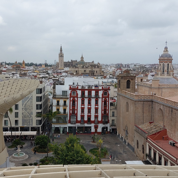 cathedrale seville